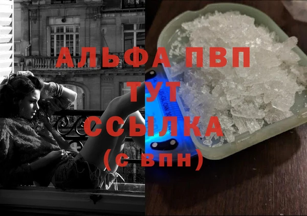 ECSTASY Корсаков