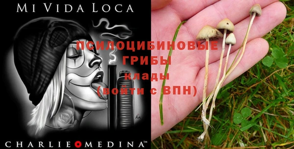 ECSTASY Корсаков