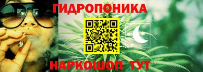 хмурый Кингисепп
