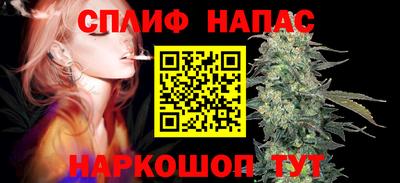 прущие грибы Кимры