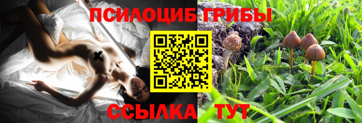 Галлюциногенные грибы GOLDEN TEACHER Армавир